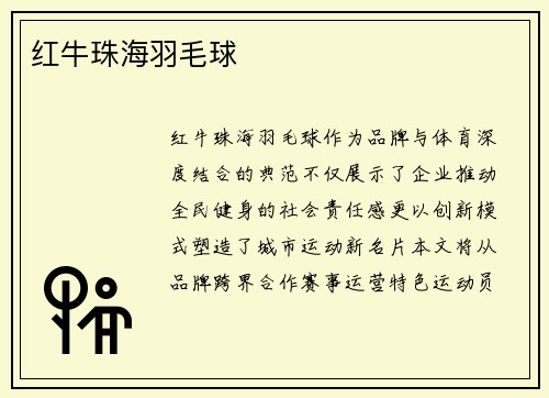 红牛珠海羽毛球